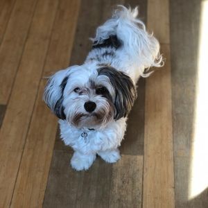 Meet your Posher, Michele